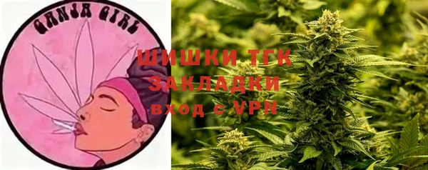 стаф Волоколамск