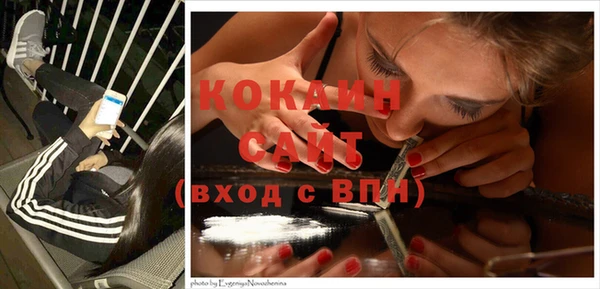 стаф Волоколамск