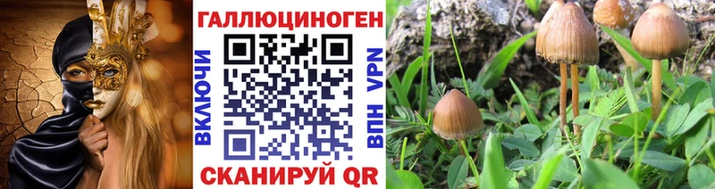 OMG как войти  Улан-Удэ  Галлюциногенные грибы GOLDEN TEACHER 